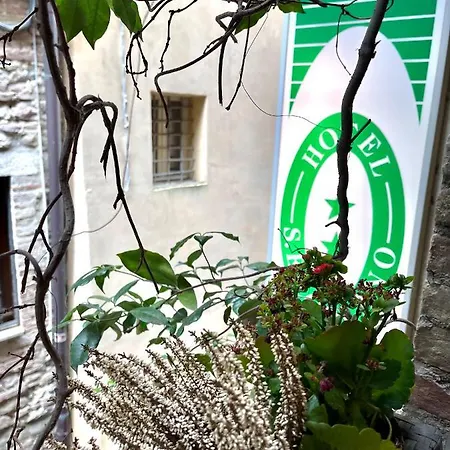 S. Ercolano